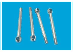 Pin