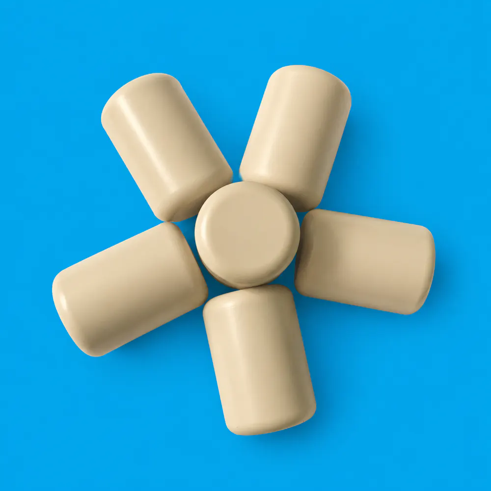 SIDEL compatible Piston spare part